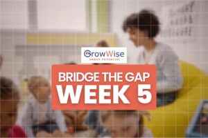 Week 5 - Bridge the Gap