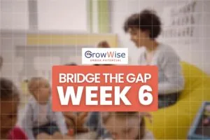 Week 6 - Bridge the Gap